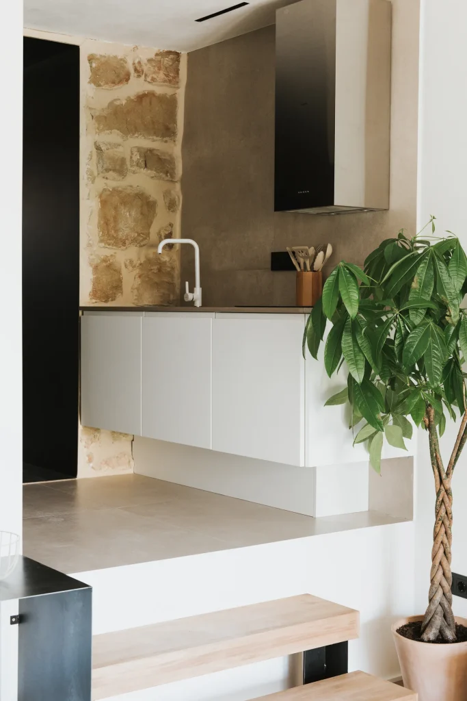 Cocina del apartamento 5 junto a un muro de piedra y una planta de interior.