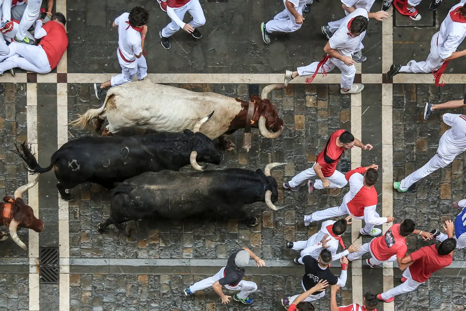 Encierro de San Fermín con corredores y toros en Pamplona.